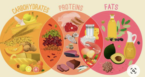 Calcul des Macronutriments : Un Guide pour Optimiser Votre Nutrition