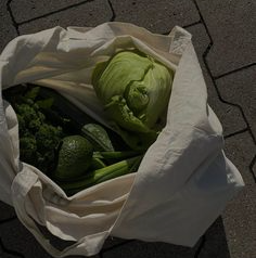 Décryptage des FODMAPs : Comprendre et Gérer les Troubles Digestifs